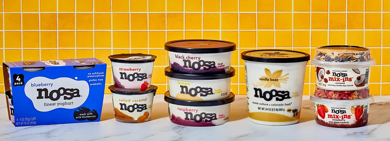 sampling of noosa yoghurt family