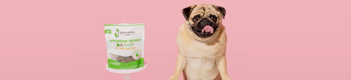 Shameless Pets banner