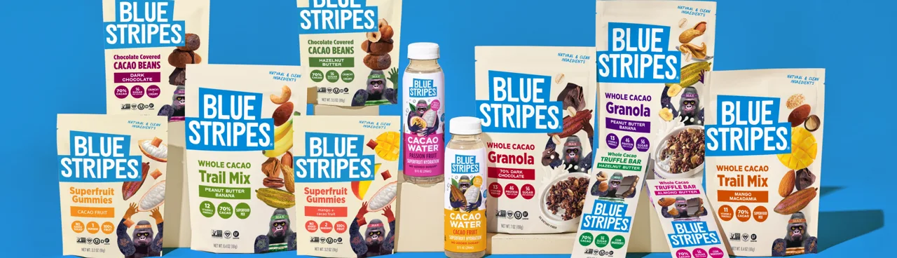 Blue Stripes banner