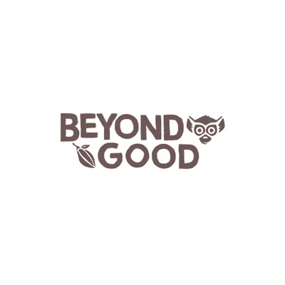 Beyond Good logo