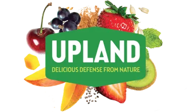 Upland Snacks logo