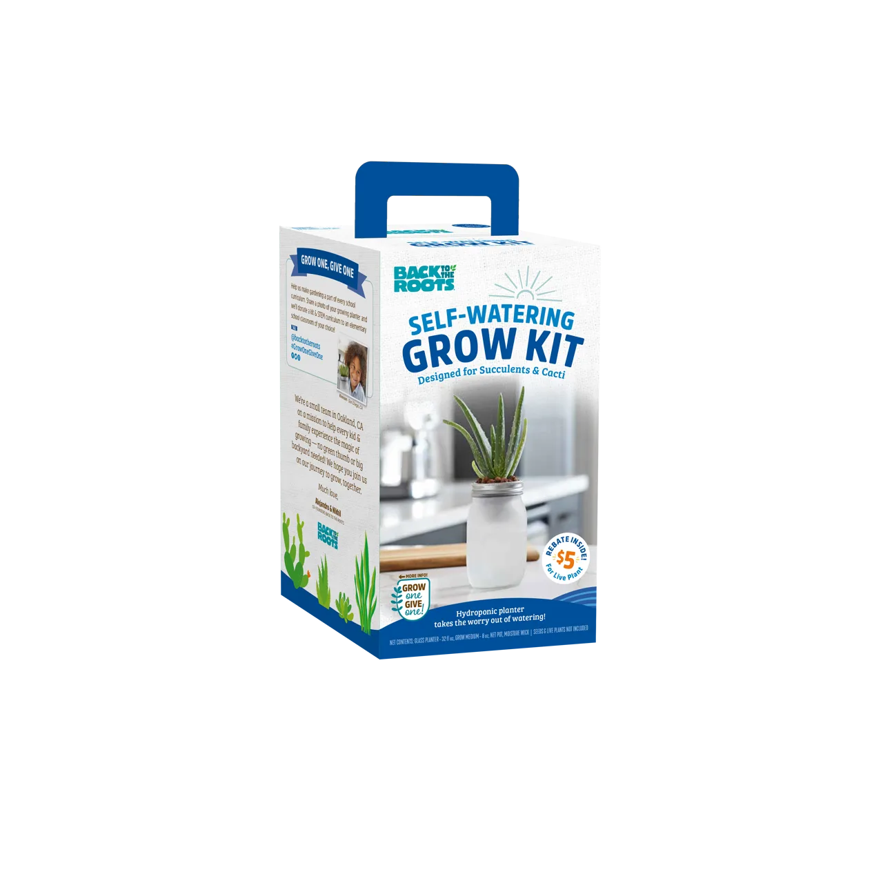 Back to the Roots Self-Watering Succulent Kit
