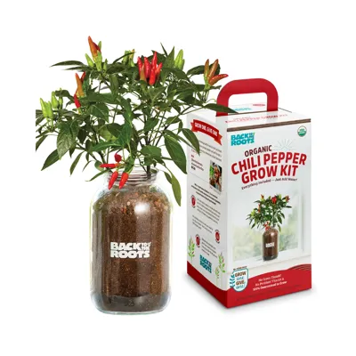Back to the Roots Organic Chili Grow Kit - Featured