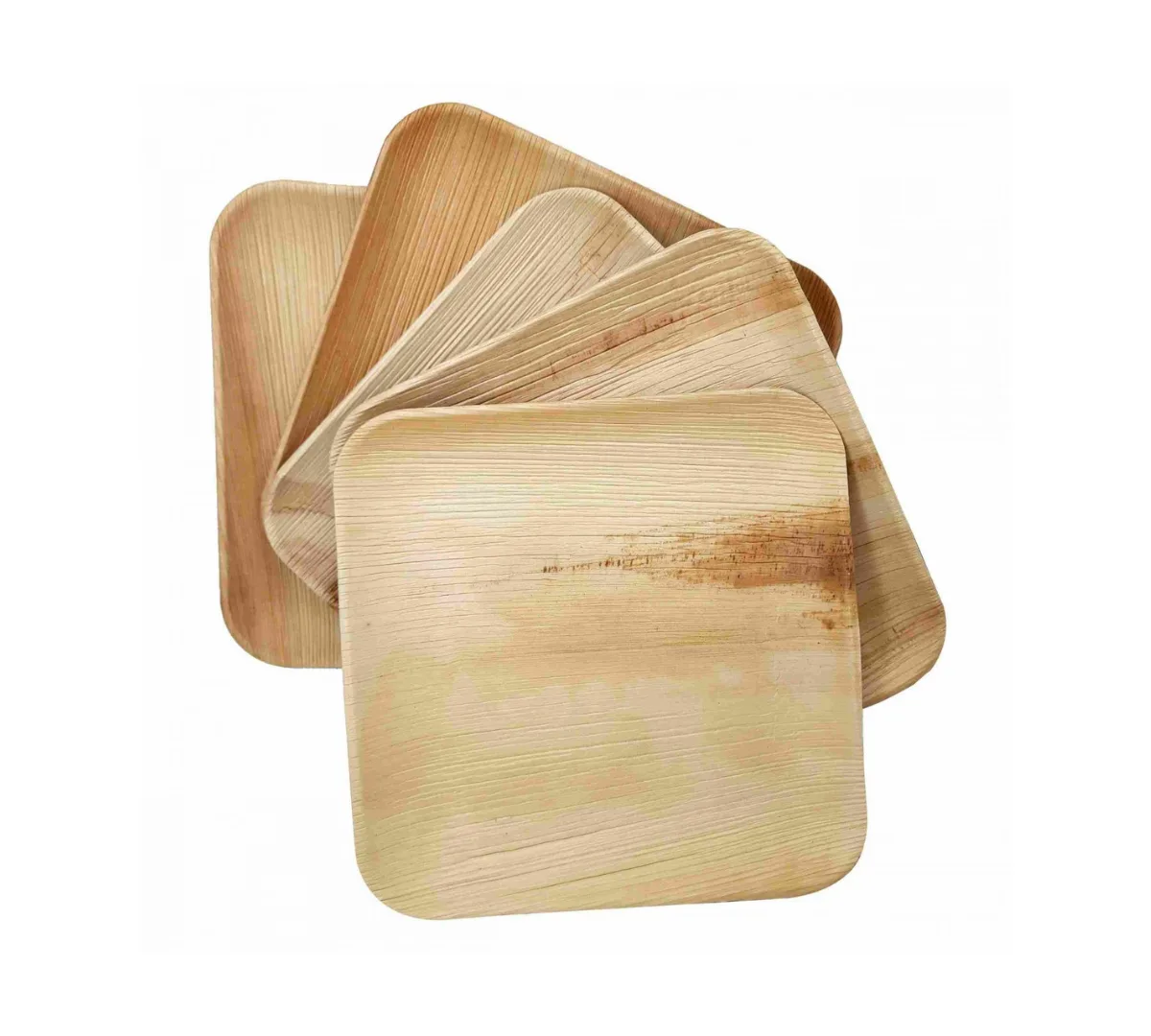 DTOCS LLC Compostable Palm Leaf Dinner Plates