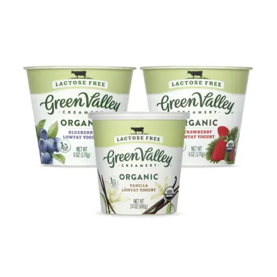 Green Valley Lactose Free Yogurt - Featured